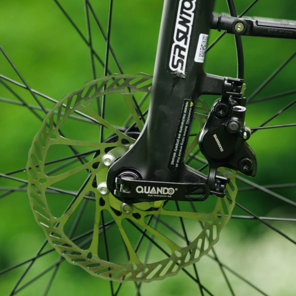 Roxform Valor S e-bike front disk brake against a blurred green background