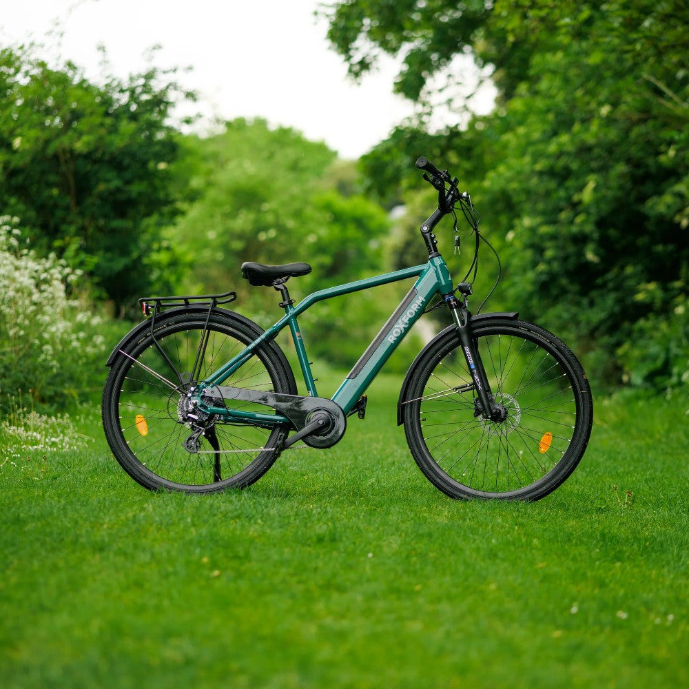 Roxform Valor S e-bike green teal on a grassy area with trees in the background