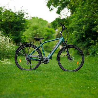 Roxform Valor S e-bike green teal on a grassy area with trees in the background
