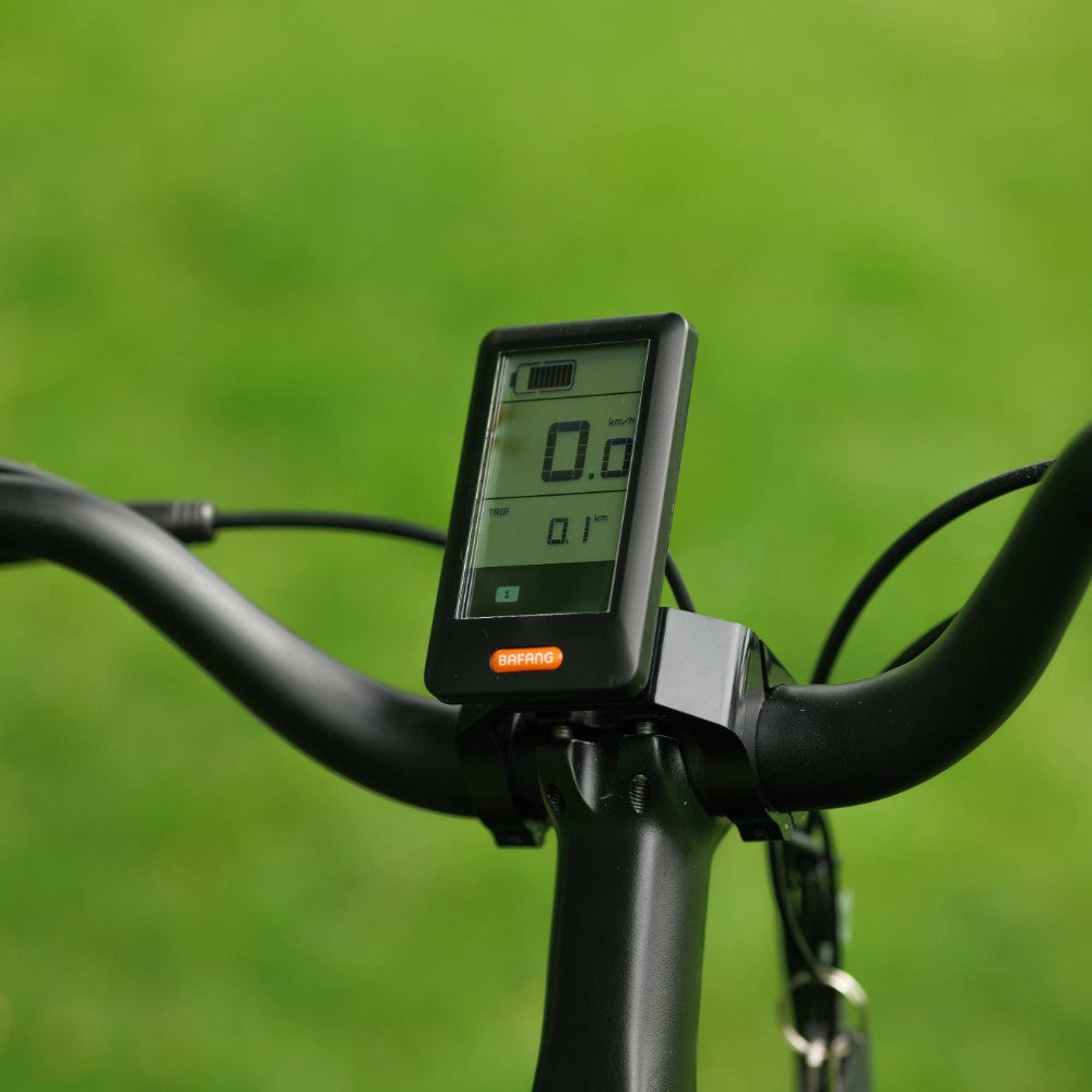 Roxform Venturis eMTB LCD display on handlebar against a green background