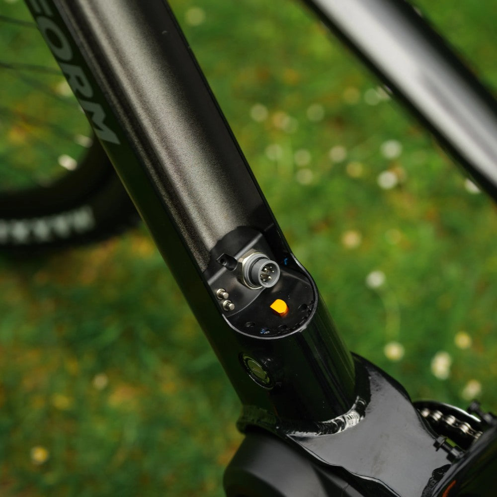 Roxform Venturis eMTB battery connection Close-up with a blurred green background