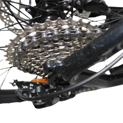 Roxform Venturis eMTB cassette Close-up on a white background