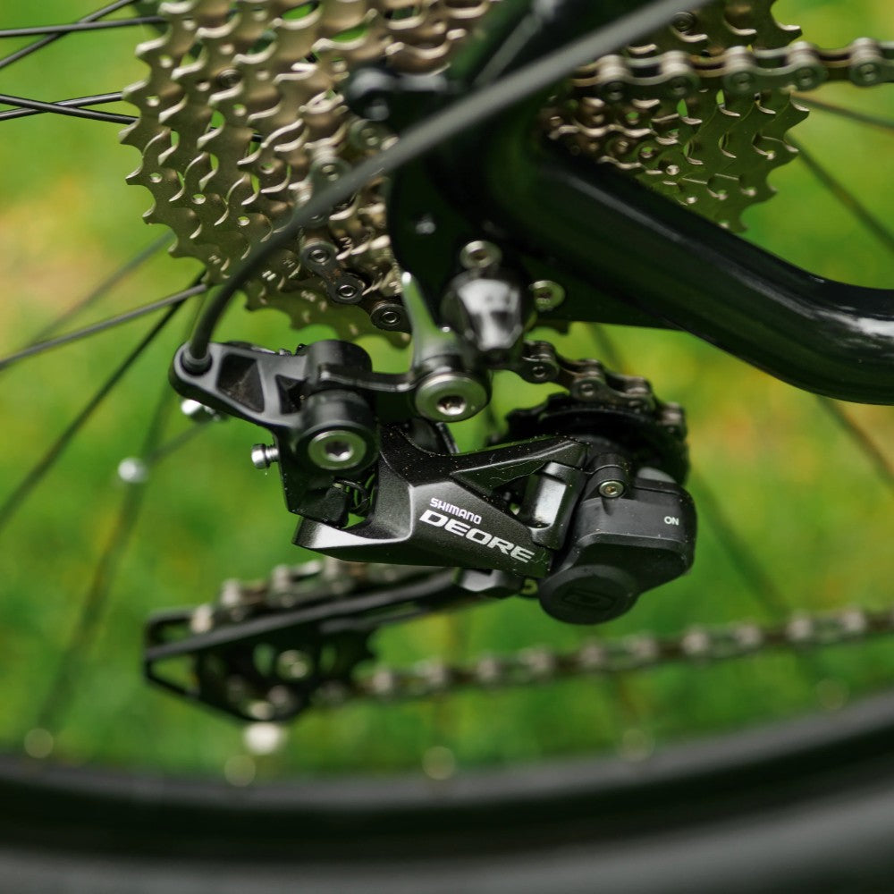 Roxform Venturis eMTB derailleur Close-up with a blurred green background