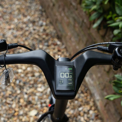 e-go CarbonLite3S integrated digital display close-up on a blurred natural background