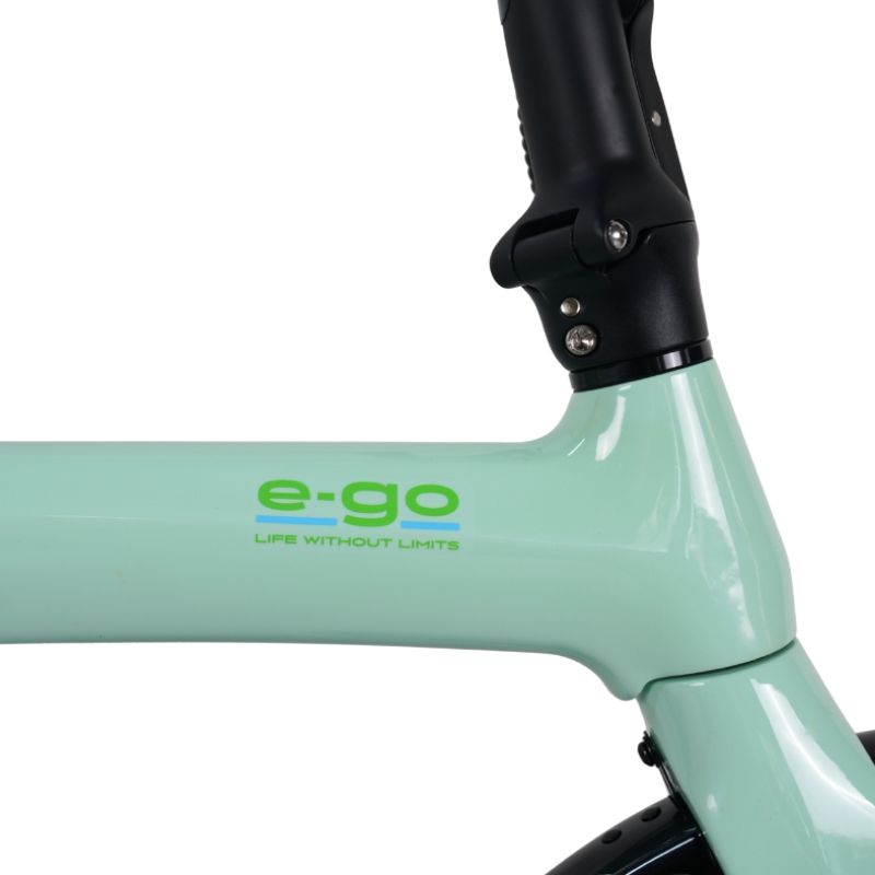 e-go_CarbonLite_Duck_Egg_carbon fibre frame