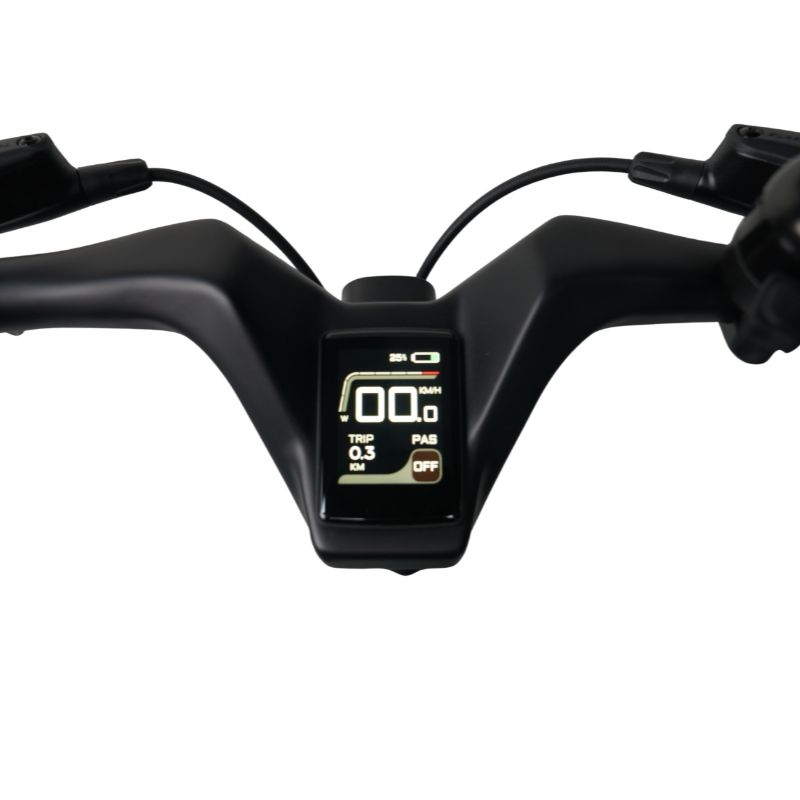 e-go_CarbonLite_Duck_Egg_integrated screen