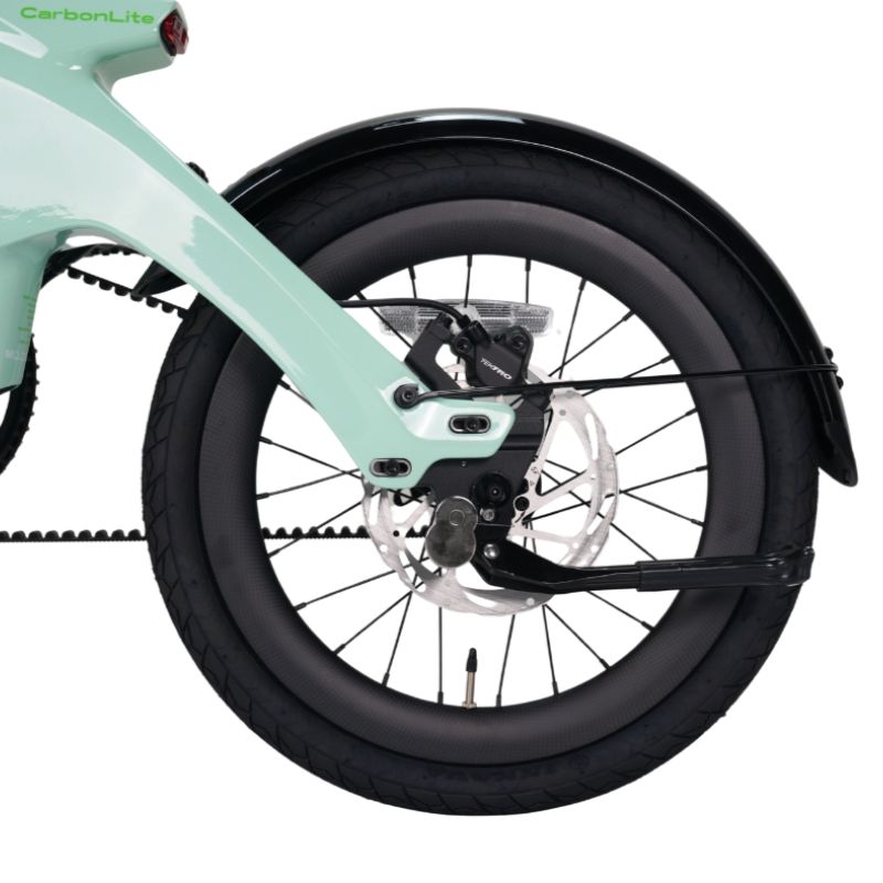 e-go_CarbonLite_Duck_Egg_rear wheel